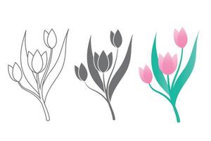 Vector line art set of tulips, spring flowers. Tulip flower. Tulip illustration.