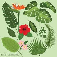 hand drawn tropical leaves and flowers