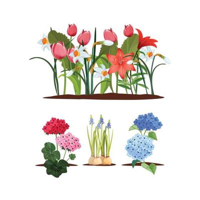 Spring flowers floral decorative interior elements isolated tulips pot houseplant shelf illustration