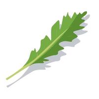 One leaf of green arugula. Vector