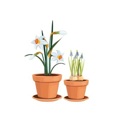 Spring flowers floral decorative interior elements isolated tulips pot houseplant shelf illustration