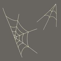 hand drawn doodle style spyder web white outlines vector