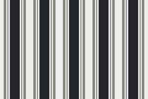 abstract black and white zebra striped background with lines vector