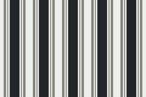 abstract black and white zebra striped background with lines vector