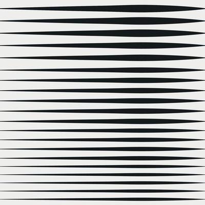 Seamless pattern zebra horizontal stripes stylish background