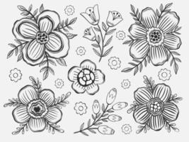 Establecer contorno floral dibujar a mano. Elemento de color negro en fondo blanco.Diseño de flores de plantas botánicas. vector