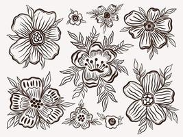 Establecer contorno floral dibujar a mano. Elemento de color negro en fondo blanco.Diseño de flores de plantas botánicas. vector