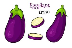 Eggplant set. Whole eggplant and cut wedges. vector