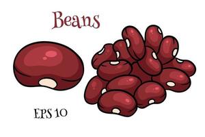 Beans set. Fresh red beans. In a cartoon style.