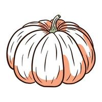 Fairytale Squash Image. Autumn gourd Illustration. Ripe pumpkin sketch. Element for autumn decorative design, halloween invitation, harvest, sticker, print, logo, menu, recipe vector