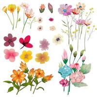 Flower Set Vector Illustration