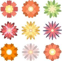 Colorful spring flowers isolated on white background vector