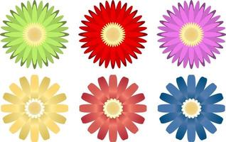 Colorful flower isolated on white background vector