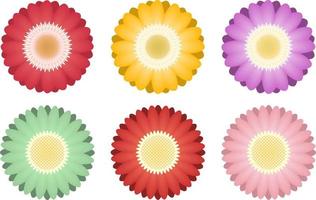 Colorful flower isolated on white background vector