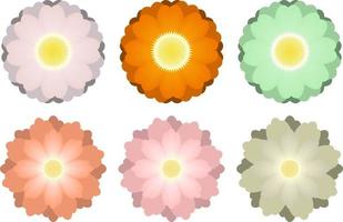 Colorful flower isolated on white background vector