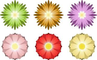 Colorful flower isolated on white background vector