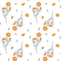 Seamless pattern with daisy flower vector