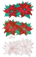 Blooming branch of poinsettia christmas plant in an elegant decorative style vector