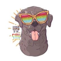 Dibujado a mano perro labrador retriever con vector de gafas. objetos aislados para su diseño. cada objeto se puede cambiar y mover.