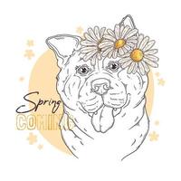 Hand drawn akita dog with flowers Vector. Isolated objects for your design. Each object can be changed and moved. vector