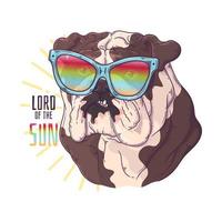 Hand drawn bulldog portrait with accessories Vector. Isolated objects for your design. Each object can be changed and moved. vector