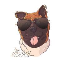 vector de perro con gafas de akita dibujado a mano. objetos aislados para su diseño. cada objeto se puede cambiar y mover.