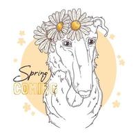 Hand drawn Borzoi dog with flowers Vector. Isolated objects for your design. Each object can be changed and moved. vector