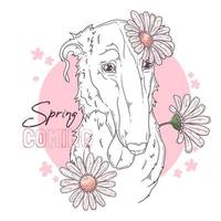 Hand drawn Borzoi dog with flowers Vector. Isolated objects for your design. Each object can be changed and moved. vector