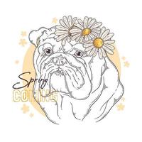 Hand drawn bulldog with flowers Vector. Isolated objects for your design. Each object can be changed and moved. vector