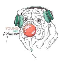 Hand drawn bulldog inflates a bubble gum Vector. Isolated objects for your design. Each object can be changed and moved. vector