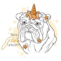 Hand drawn bulldog with unicorn horn Vector. Isolated objects for your design. Each object can be changed and moved. vector