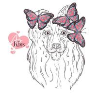 Hand drawn collie dog portrait with butterflies Vector. Isolated objects for your design. Each object can be changed and moved. vector