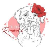 Hand drawn Labrador Retriever dog with flowers Vector. Isolated objects for your design. Each object can be changed and moved. vector