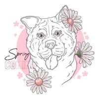 perro akita dibujado a mano con vector de flores. objetos aislados para su diseño. cada objeto se puede cambiar y mover.