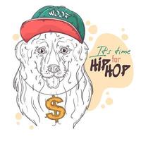 Hand drawn collie rapper dog portrait with accessories Vector. Isolated objects for your design. Each object can be changed and moved. vector