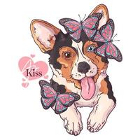 perro corgi dibujado a mano con vector de mariposas. objetos aislados para su diseño. cada objeto se puede cambiar y mover.