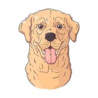 vector de retrato de perro labrador retriever dibujado a mano. objetos aislados para su diseño. cada objeto se puede cambiar y mover.