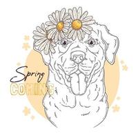 Hand drawn Labrador Retriever dog with flowers Vector. Isolated objects for your design. Each object can be changed and moved. vector