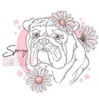 bulldog dibujado a mano con vector de flores. objetos aislados para su diseño. cada objeto se puede cambiar y mover.