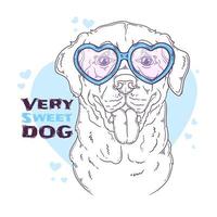 Hand drawn Labrador Retriever dog with glasses Vector. Isolated objects for your design. Each object can be changed and moved. vector