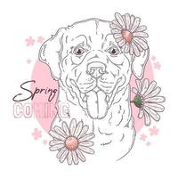 Hand drawn Labrador Retriever dog with flowers Vector. Isolated objects for your design. Each object can be changed and moved. vector