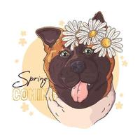 perro akita dibujado a mano con vector de flores. objetos aislados para su diseño. cada objeto se puede cambiar y mover.