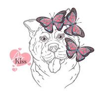 perro akita dibujado a mano con vector de mariposas. objetos aislados para su diseño. cada objeto se puede cambiar y mover.