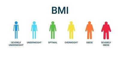 Bmi categories chart, body mass index and scale mass people. Severely underweight, underweight, optimal, overweight, obese, severely obese graph control health. Vector illustration