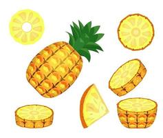 Ilustración vectorial de piña en rodajas sobre fondo blanco. vector