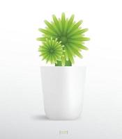 plantas de decoración en maceta. árbol pequeño. idea de objeto natural para diseño de interiores y decoración. vector. vector