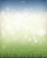 Green grass field with light blurred bokeh background. Vector. vector