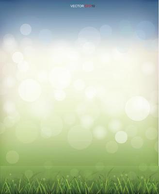 Green grass field with light blurred bokeh background. Vector.