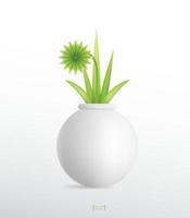 Decoration plants in flower pot. Small tree. Natural object idea for interior design and decoration. Vector. vector