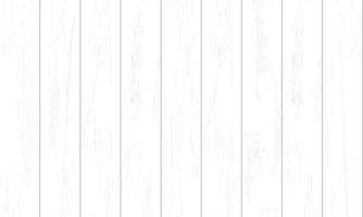 White wood pattern and texture for background. Vector. vector
